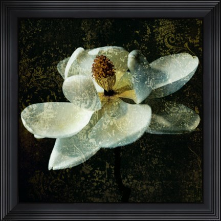 Framed Magnolia II Print