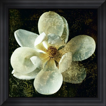 Framed Magnolia I Print