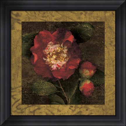 Framed Red Camellias I Print
