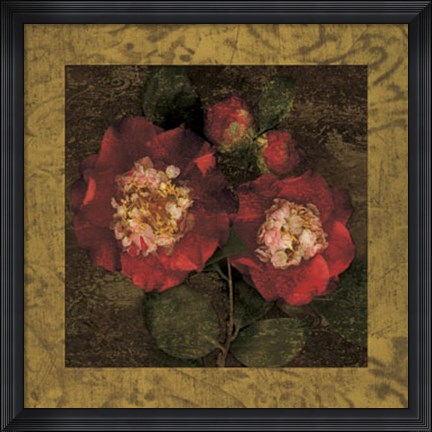 Framed Red Camellias II Print