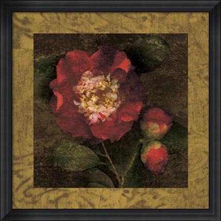 Framed Red Camellias I Print