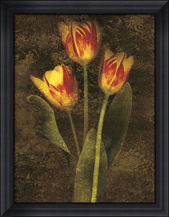 Framed Three Tulips Print