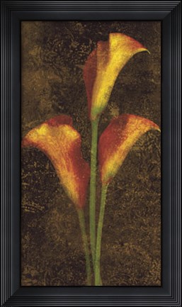 Framed Callas Print