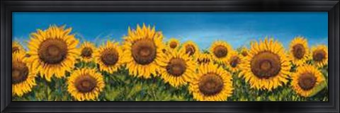 Framed Fila di Girasoli Print