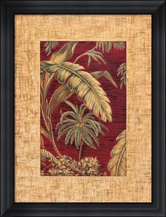 Framed Samuel Blanco - Tropical II Size 19.75x23.75 Print