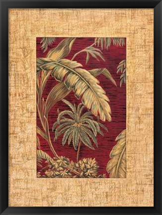 Framed Samuel Blanco - Tropical II Size 19.75x23.75 Print