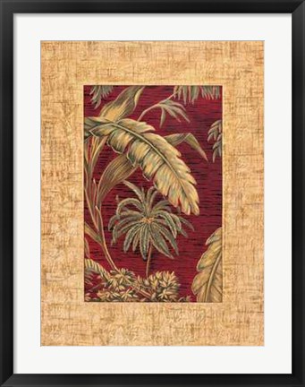 Framed Samuel Blanco - Tropical II Size 19.75x23.75 Print