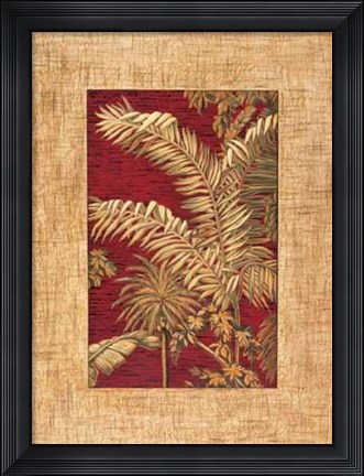 Framed Samuel Blanco - Tropical I Size 19.75x23.75 Print