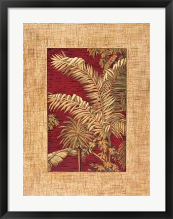 Framed Samuel Blanco - Tropical I Size 19.75x23.75 Print