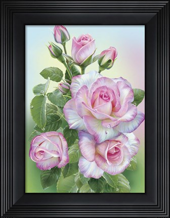Framed Morning Roses Print