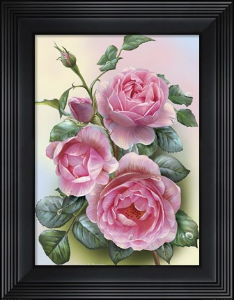 Framed Roses Print