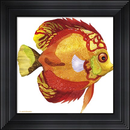 Framed Fish 3 Red-Yellow Print