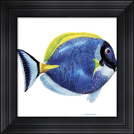 Framed Fish 4 Blue-Yellow Print