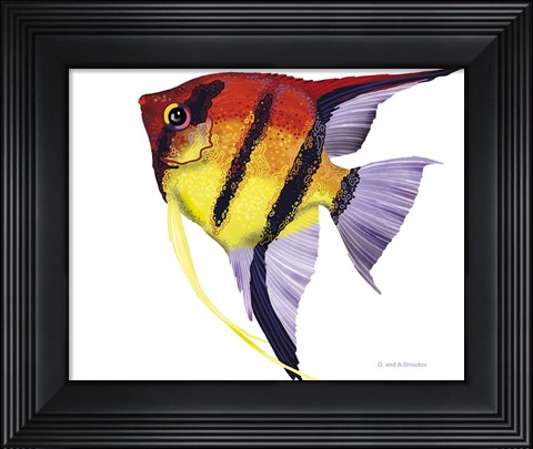 Framed Fish 4 Red-Yellow Print