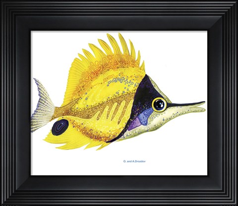 Framed Fish 5 Red-Yellow Print