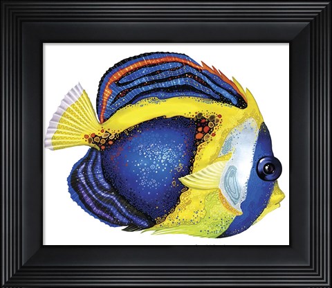 Framed New Fish 2 Print