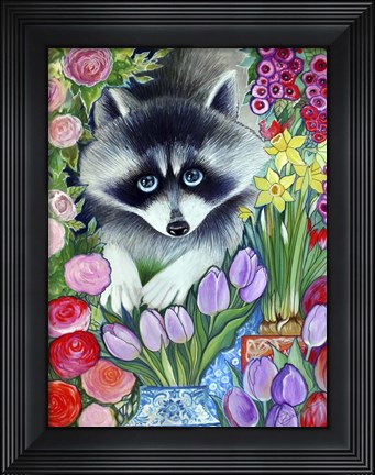 Framed Raccoon Print