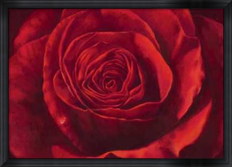 Framed Stefania Re - Passione Size 51.25x38.75 Print