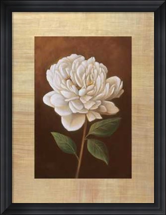 Framed Fleur de Magnolia Print