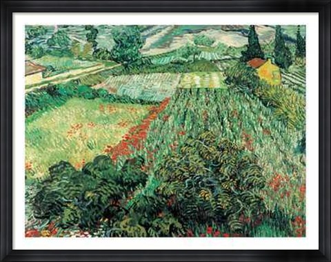 Framed Field of Poppies, St.Remy Print