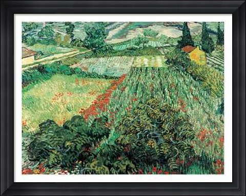 Framed Field of Poppies, St.Remy Print