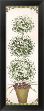 Framed Topiary V Print