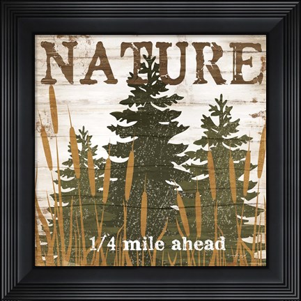 Framed Nature Print