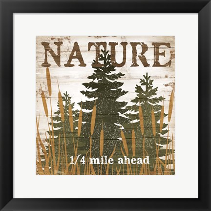 Framed Nature Print