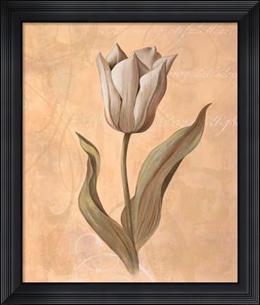 Framed Tulip Print