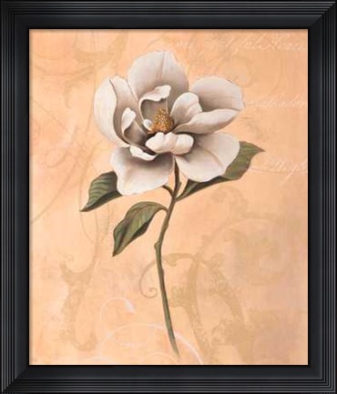 Framed Magnolia Print