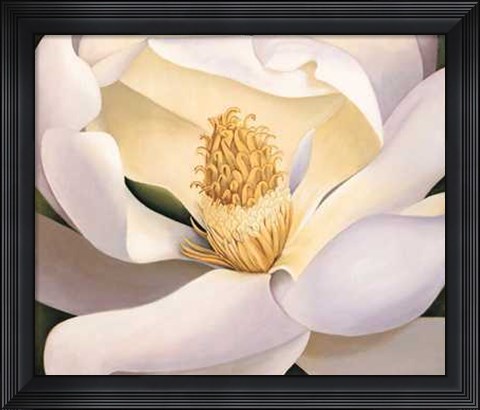 Framed Virginia Huntington - Magnolia Size 23.75x19.75 Print