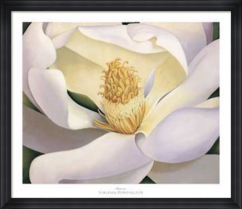 Framed Virginia Huntington - Magnolia Size 39.75x34 Print