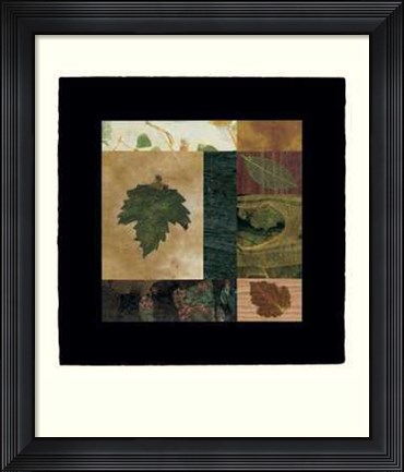 Framed Nature IV Print
