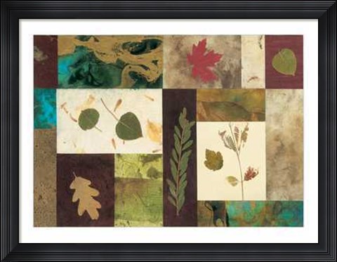 Framed Nature's Memories Print