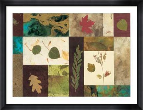 Framed Nature&#39;s Memories Print