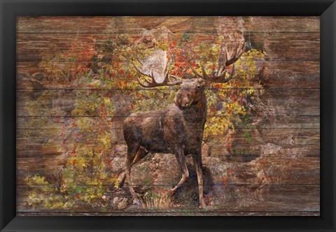 Framed Moose Meadow Print