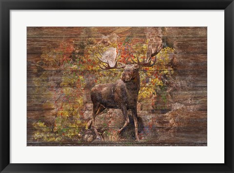 Framed Moose Meadow Print