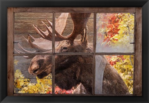 Framed There&#39;s a Moose at the Window Print