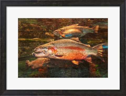 Framed Good Day to Be a Salmon Print