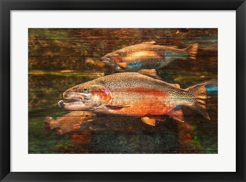 Framed Good Day to Be a Salmon Print