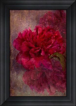 Framed Tapestry Rose Print