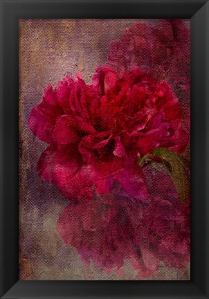 Framed Tapestry Rose Print