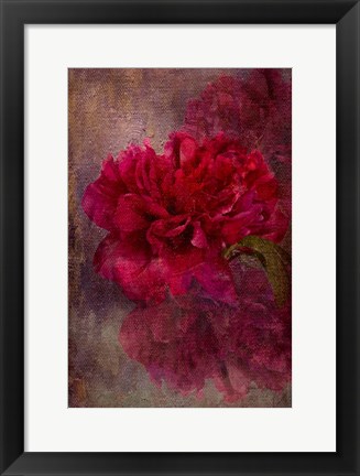 Framed Tapestry Rose Print