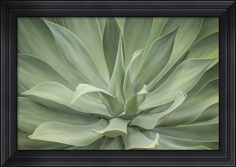 Framed Elegant Agave Print