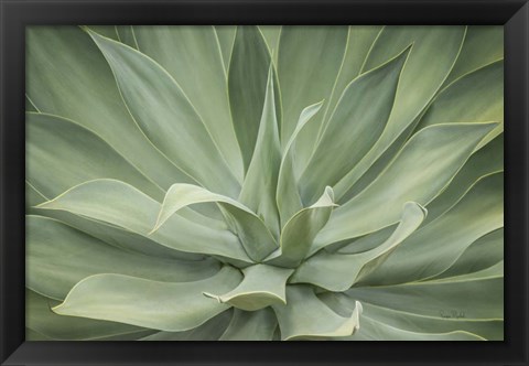 Framed Elegant Agave Print