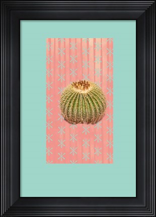 Framed Barrel Cactus Print