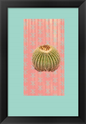 Framed Barrel Cactus Print