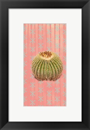 Framed Barrel Cactus Print