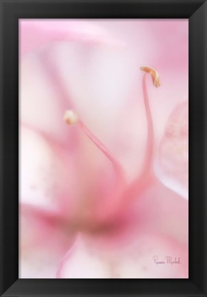 Framed Softness Print