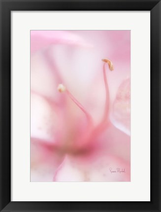 Framed Softness Print